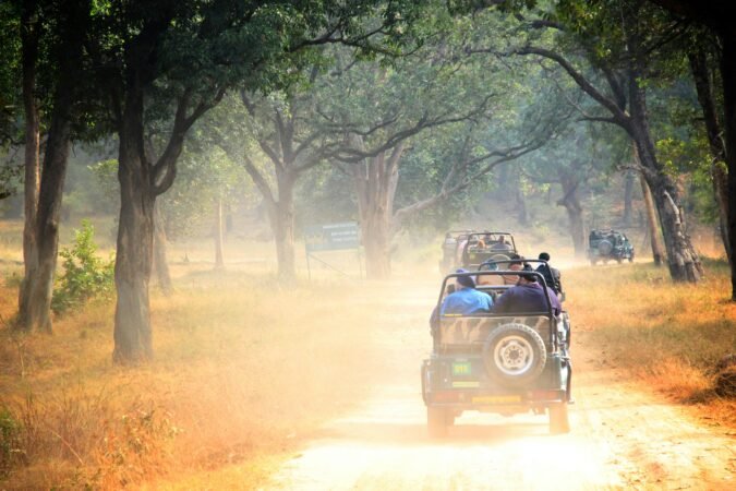 Jeep Ride in Rajasthan